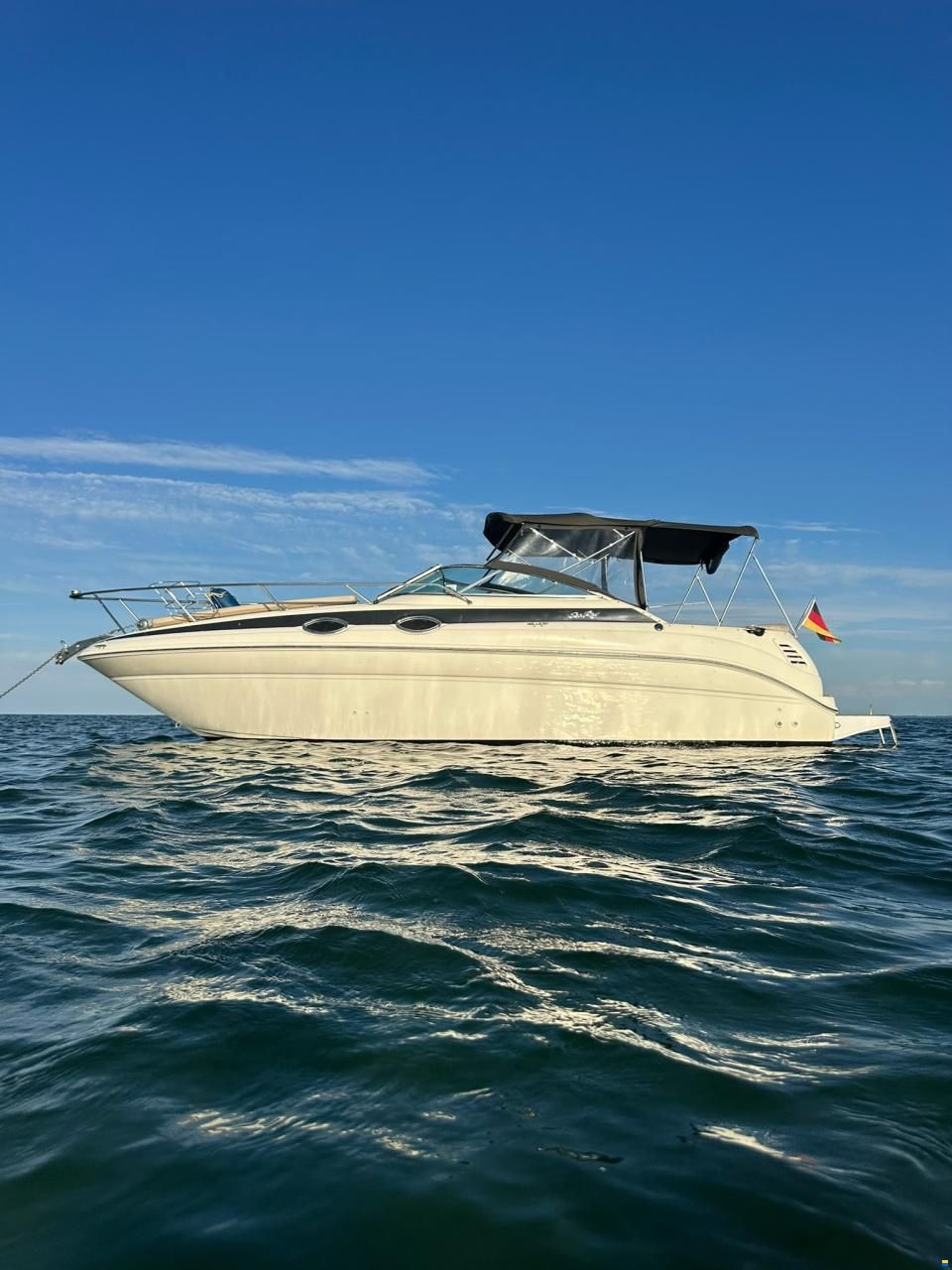 Sea Ray 260 DA Sundancer