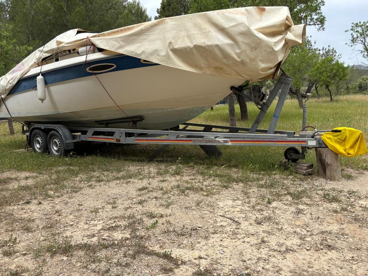 Sea Ray 24
