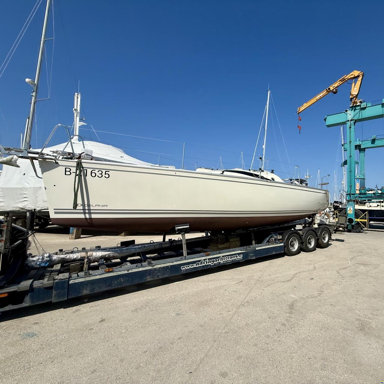 Delphia 28