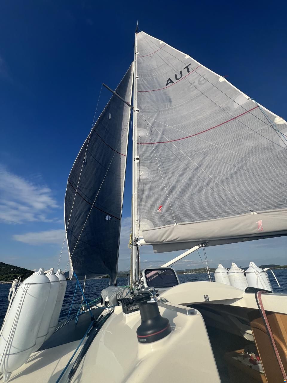 Delphia 28