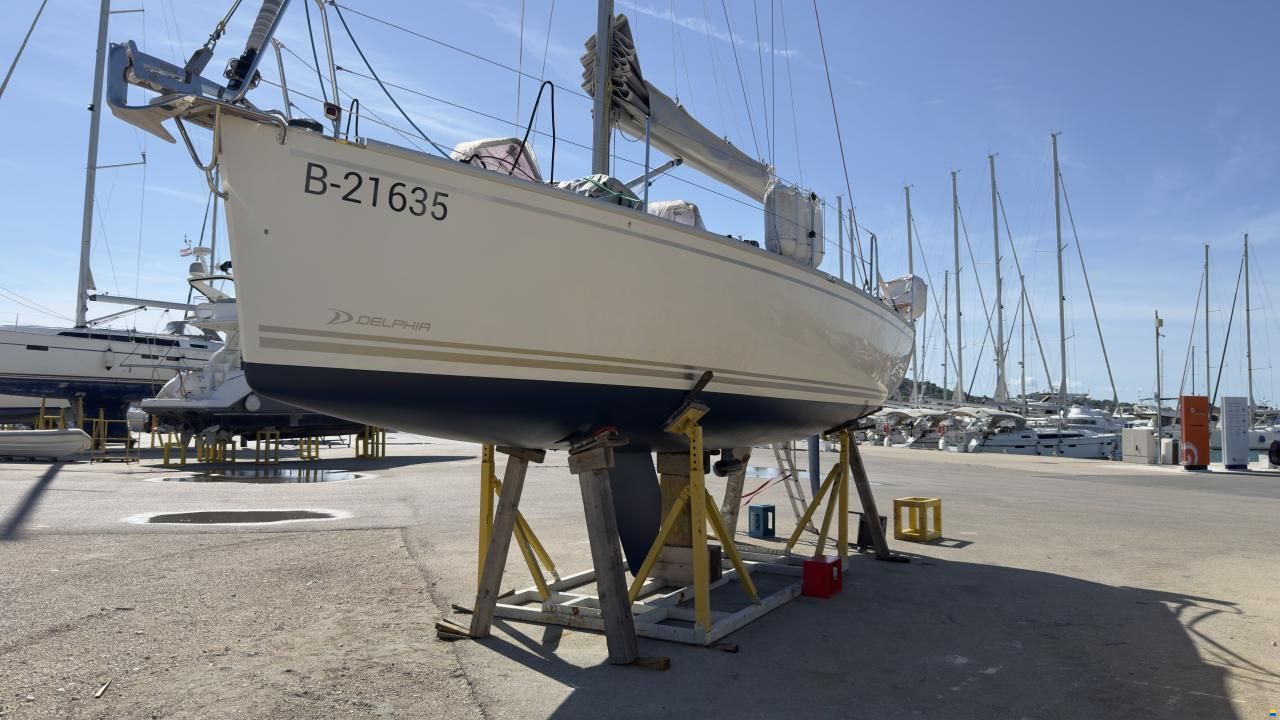 Delphia 28