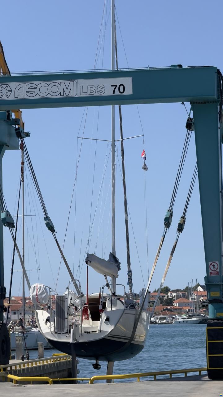 Delphia 28