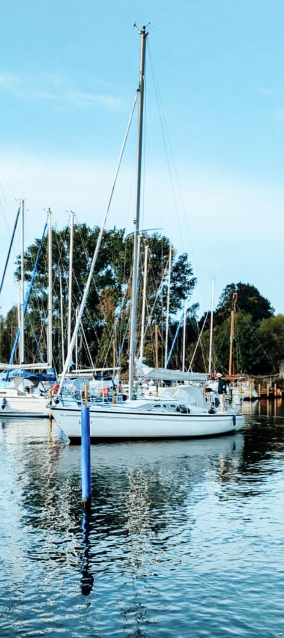 Dehler 34