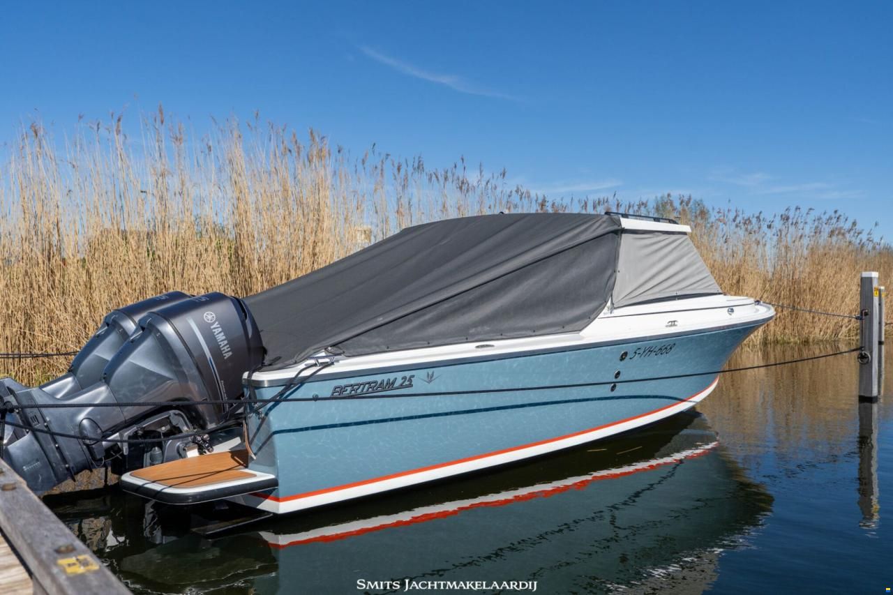 Bertram 25