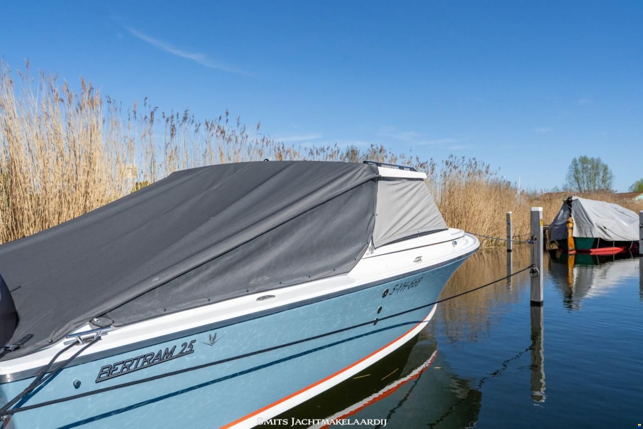 Bertram 25