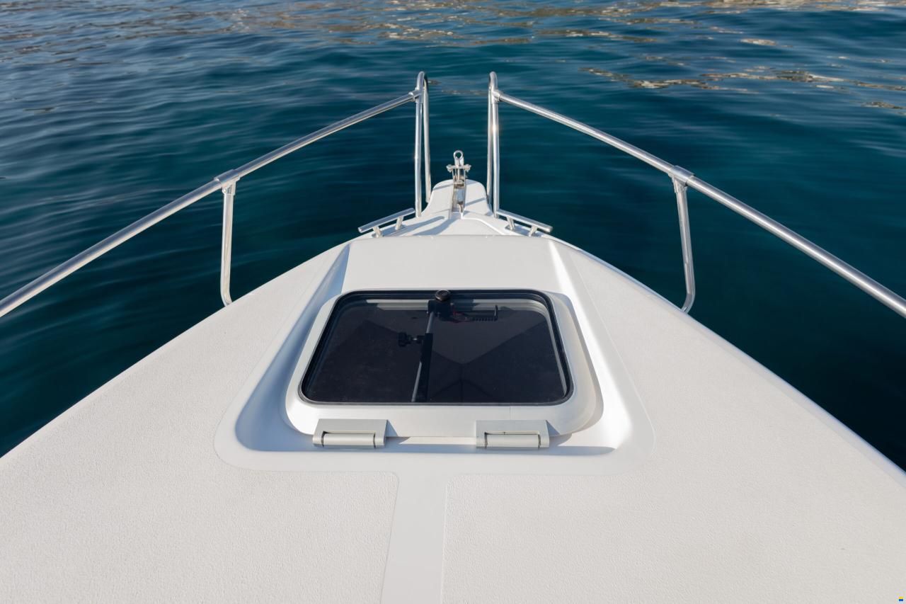 Drago 550