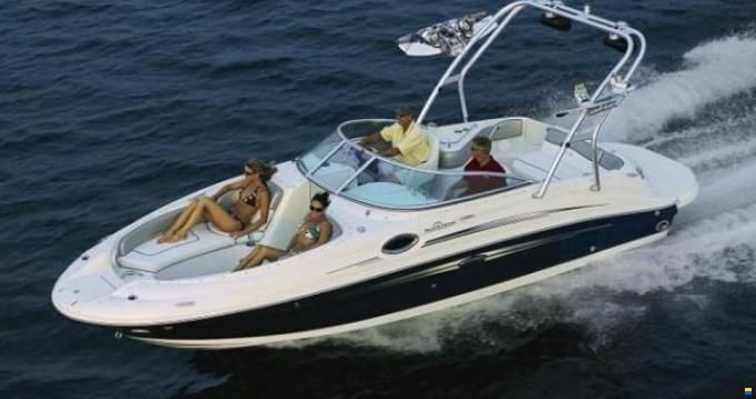 Sea Ray 240 SD