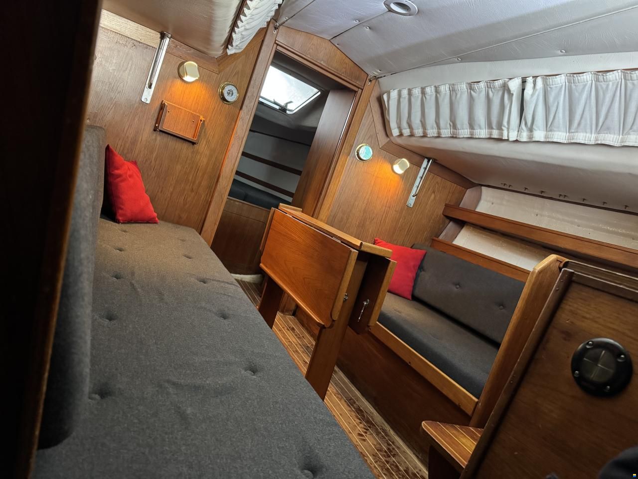 Agoni Bonita 767