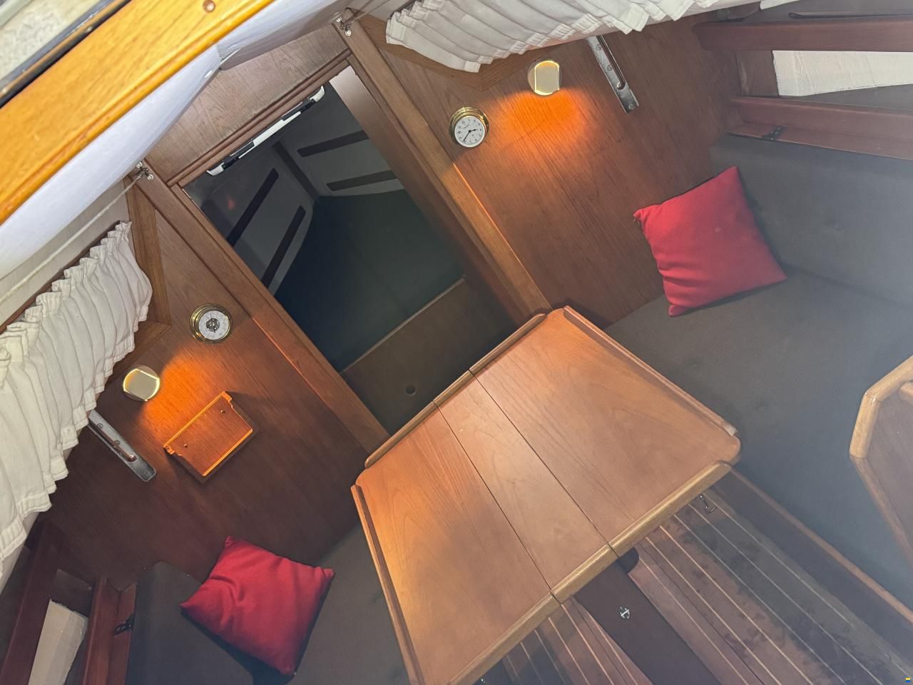 Agoni Bonita 767