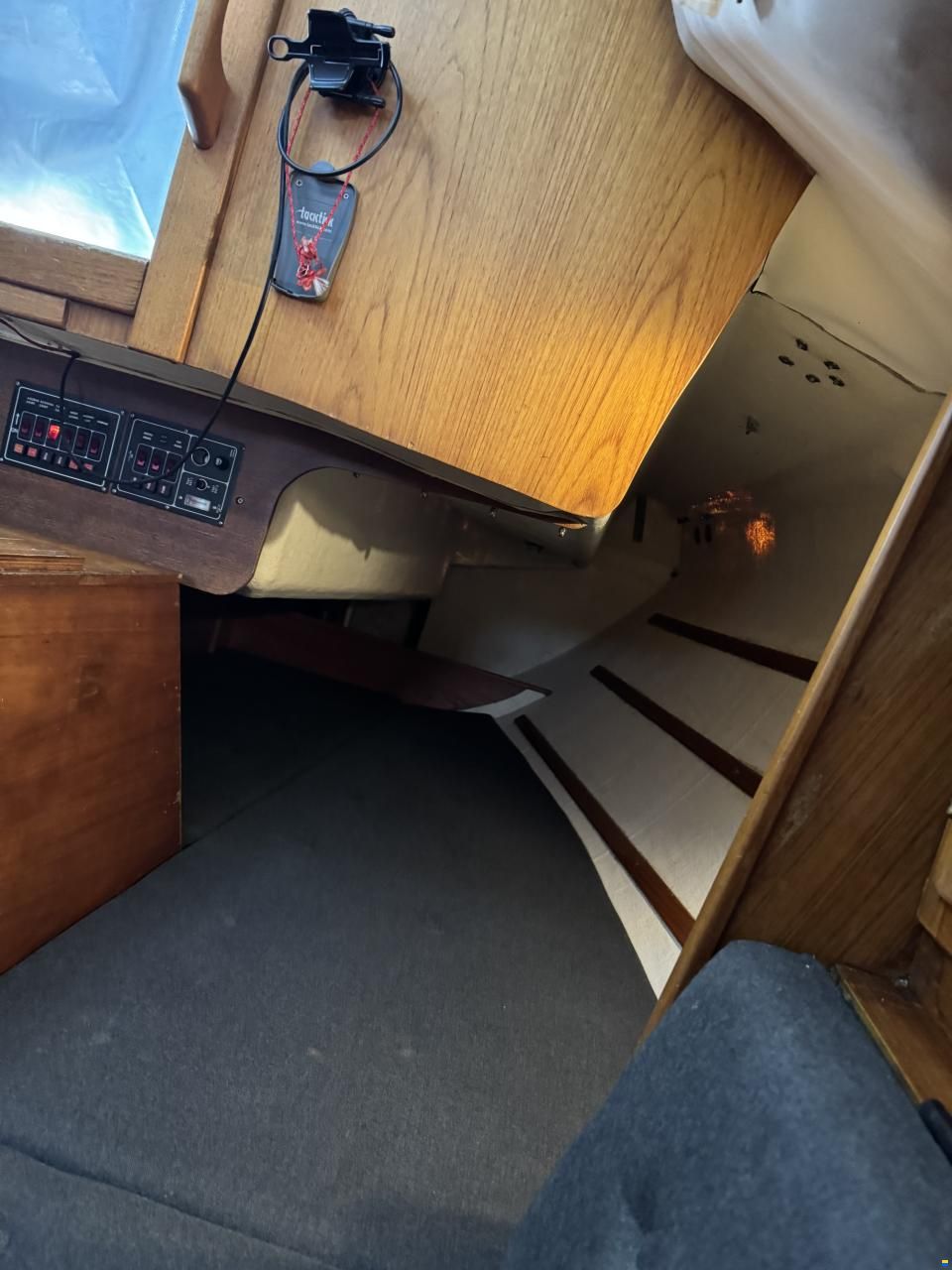 Agoni Bonita 767