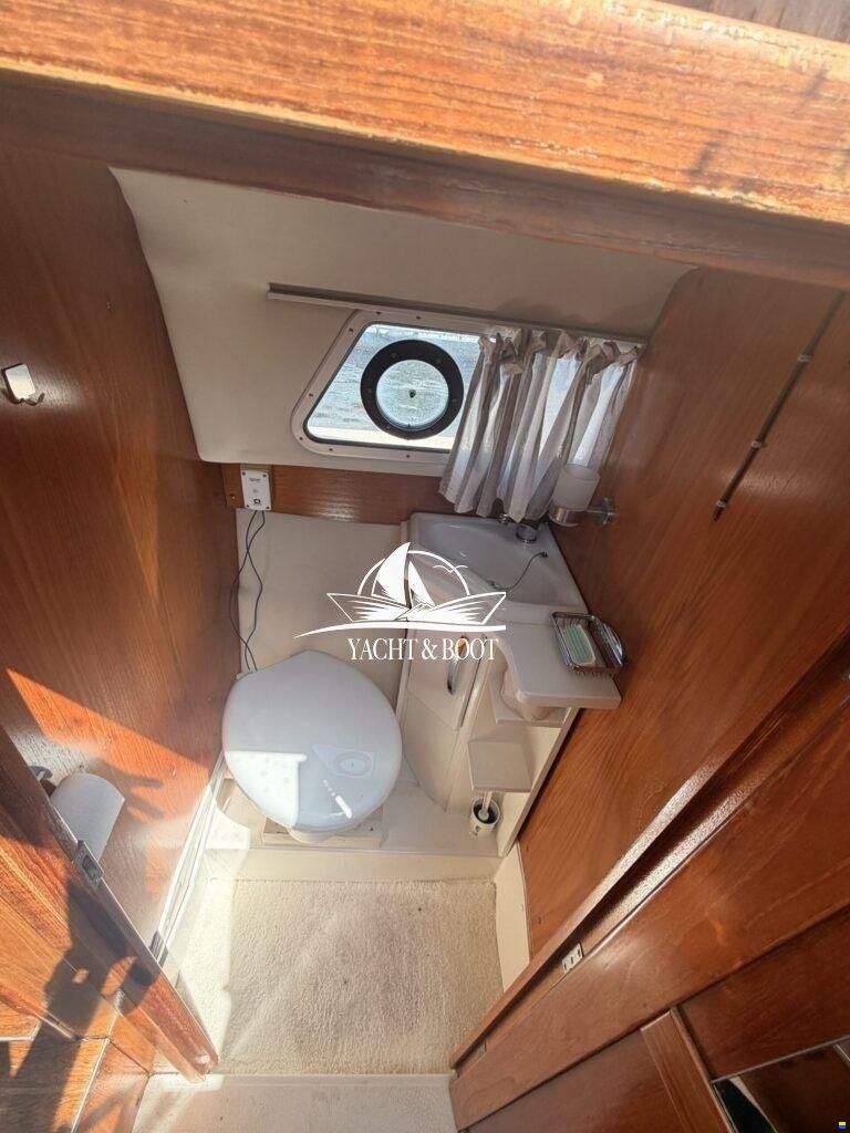 Marex Holiday