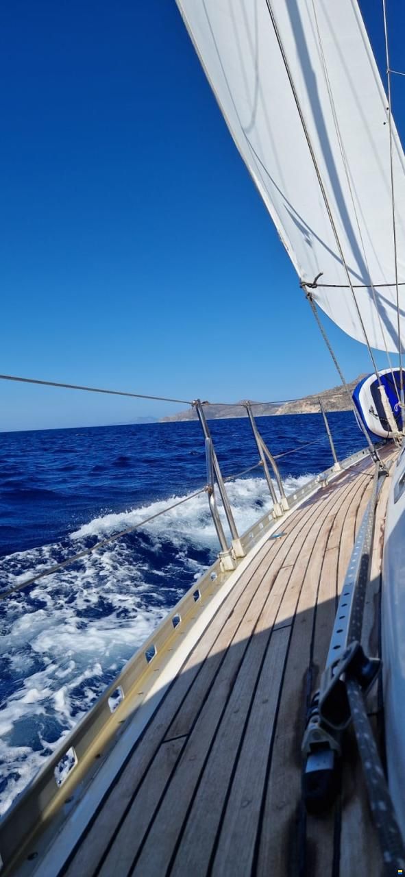 Alpha 51 Lux