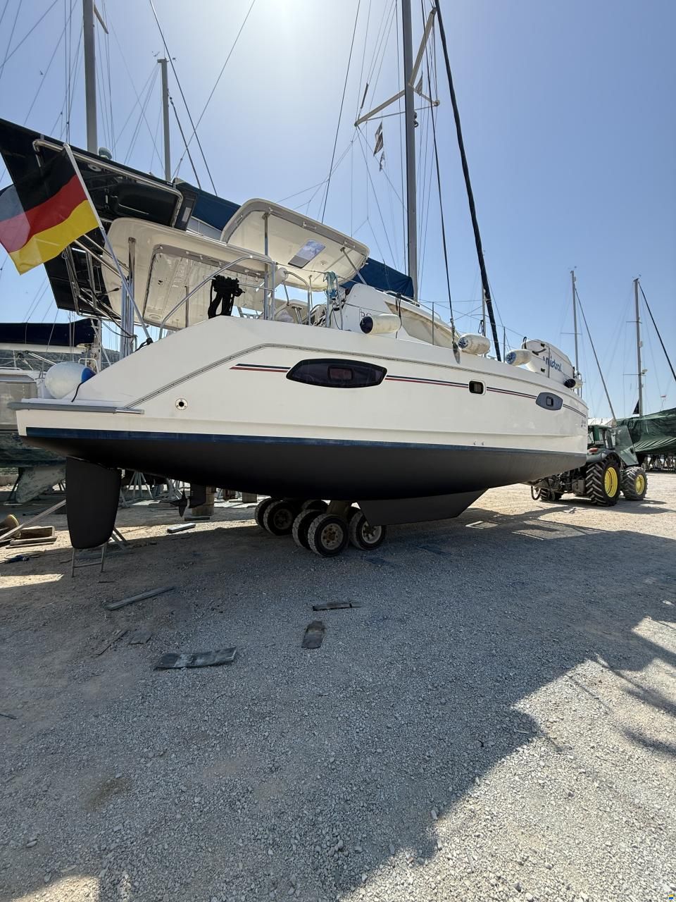 Leopard 39