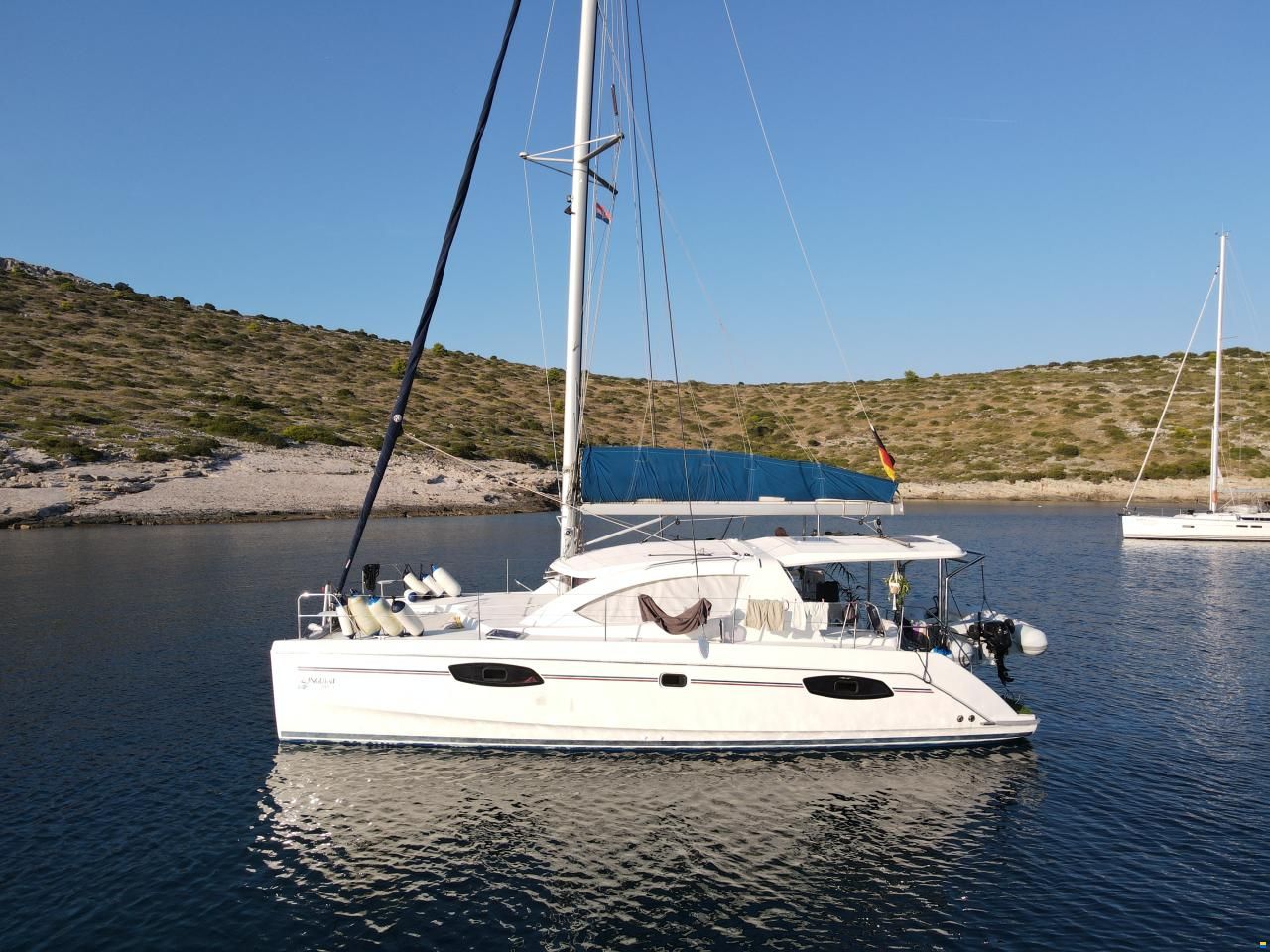 Leopard 39