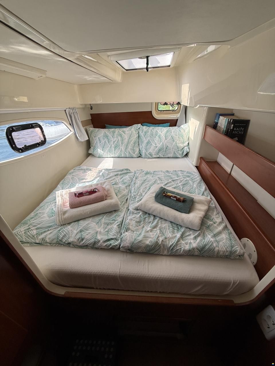 Leopard 39