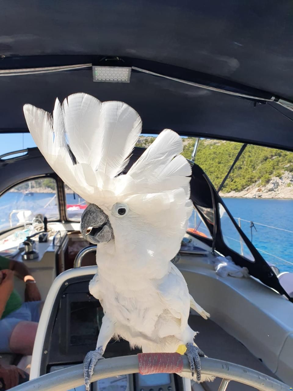 Bavaria 38 Cruiser