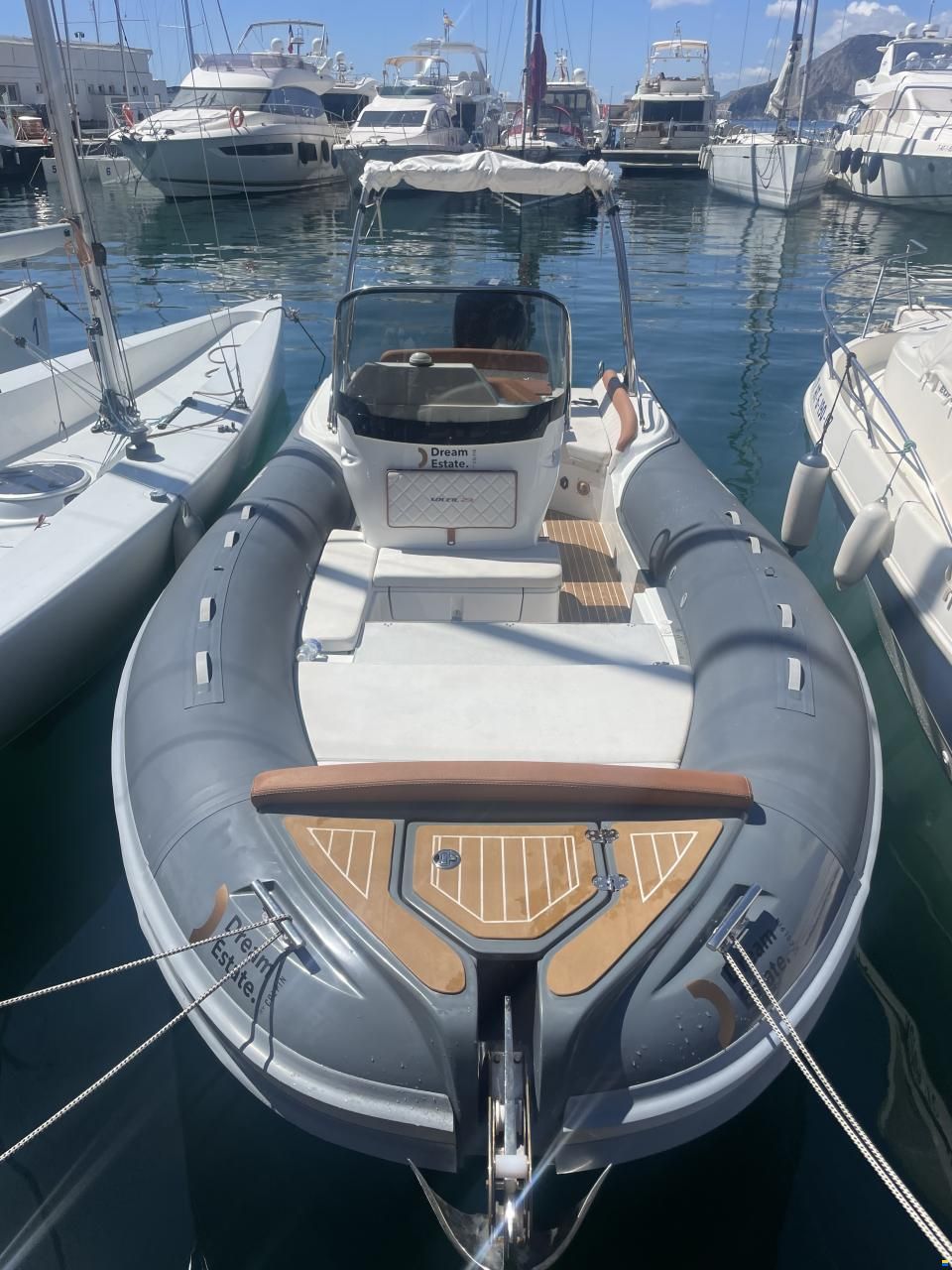 Salpa Soleil 23