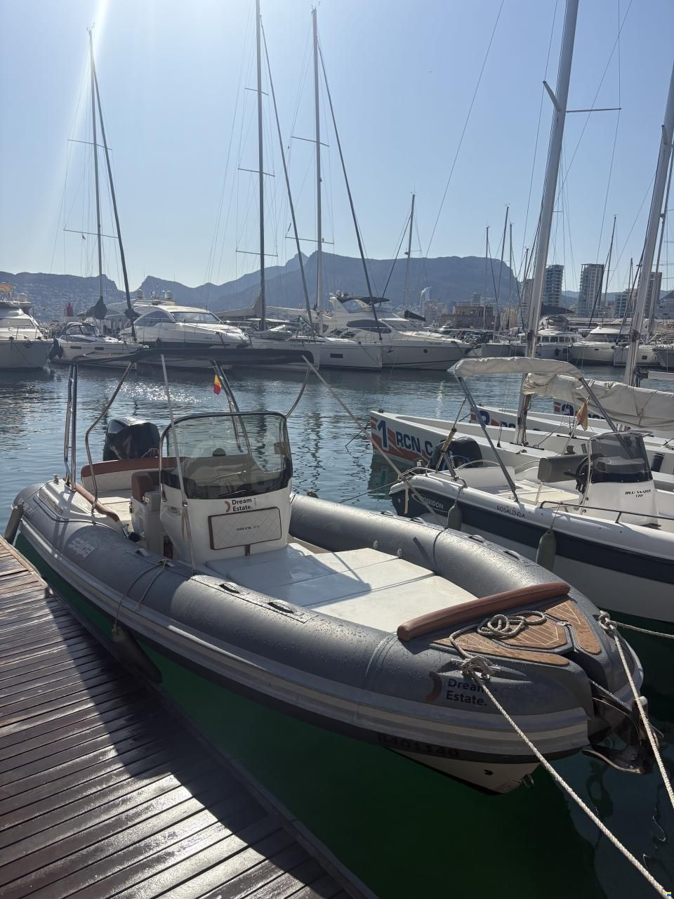 Salpa Soleil 23