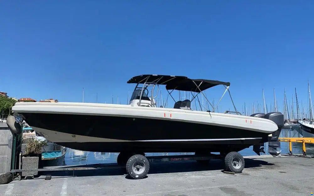Novurania Chase 31