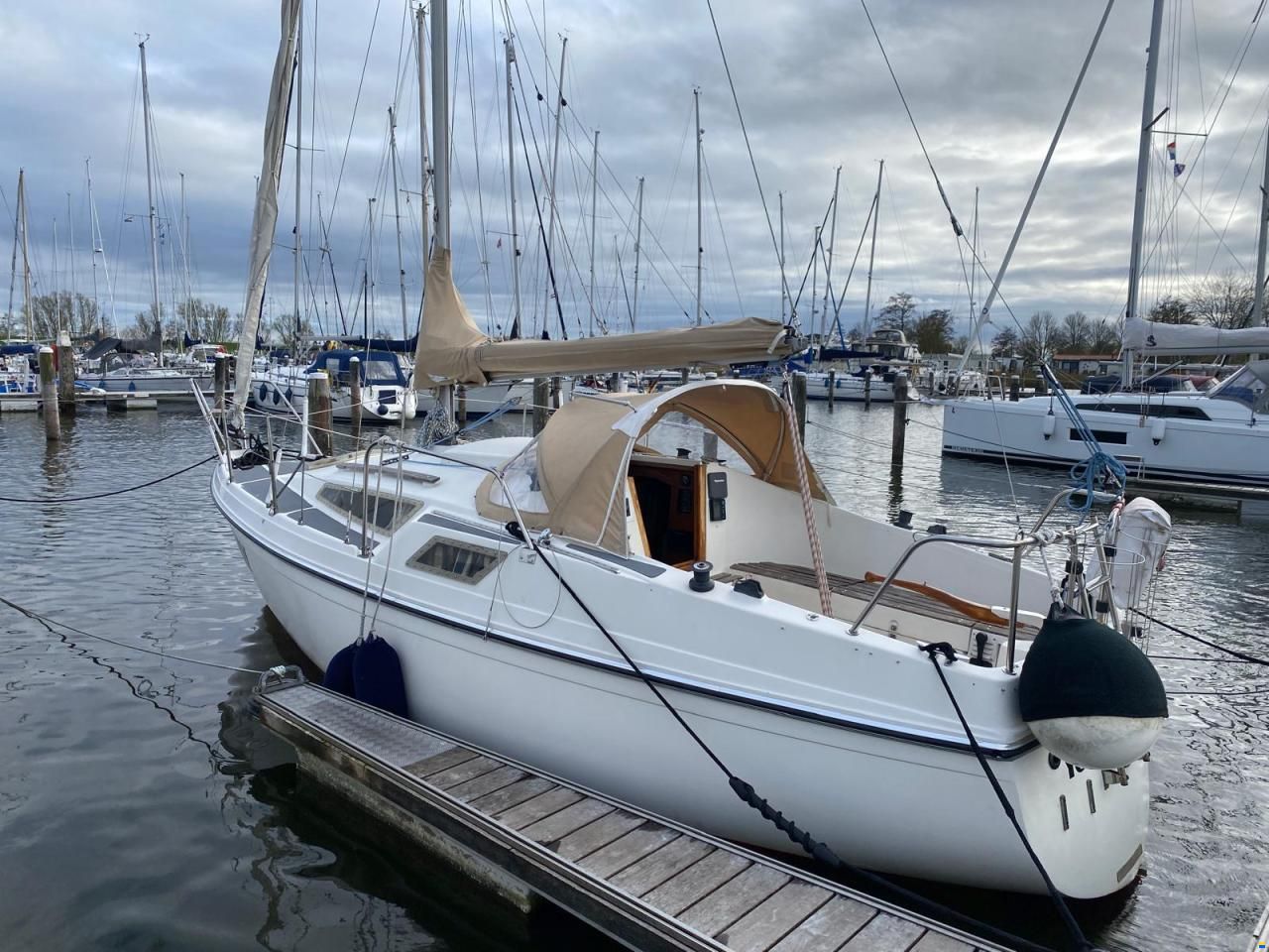 Rethana 25