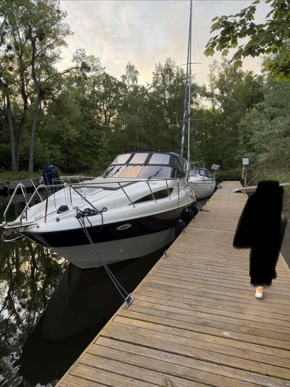 Bayliner 3055