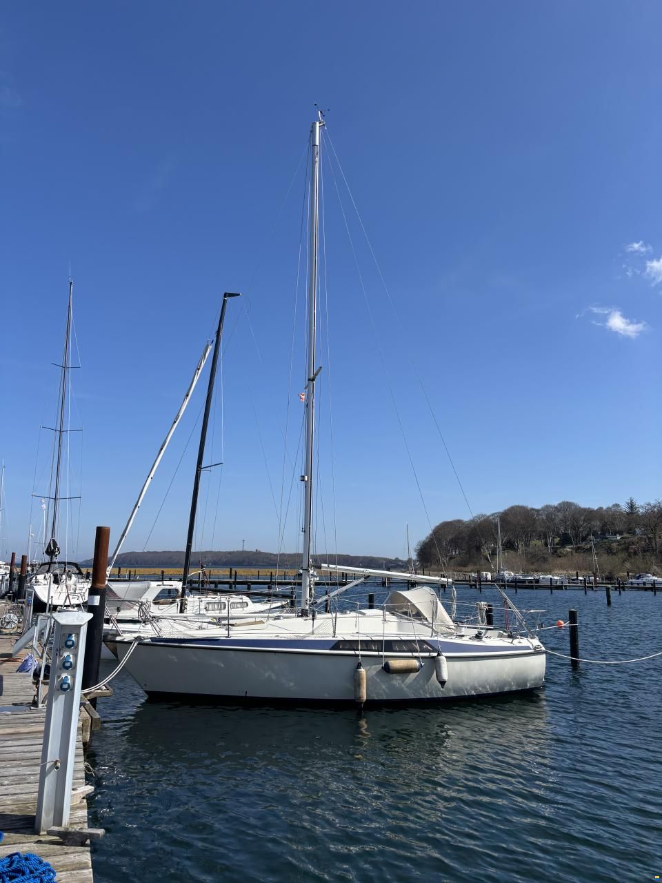 Maxi 84
