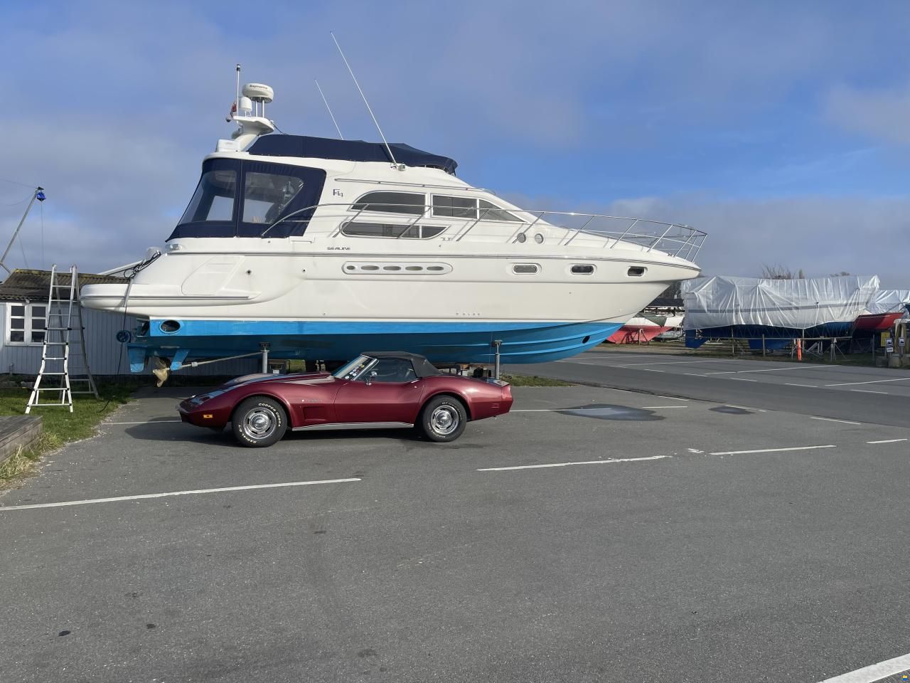 Sealine F44