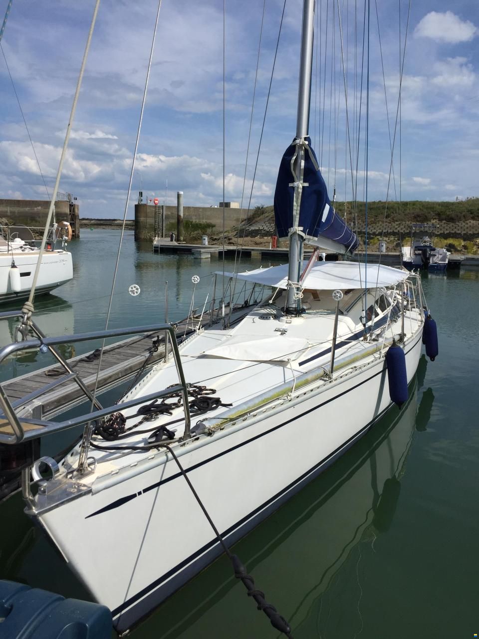 Dynamic 35