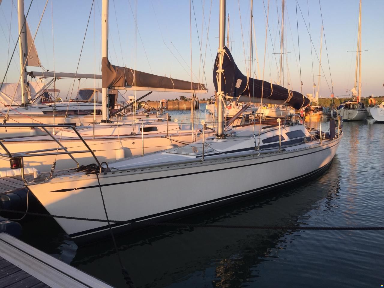 Dynamic 35