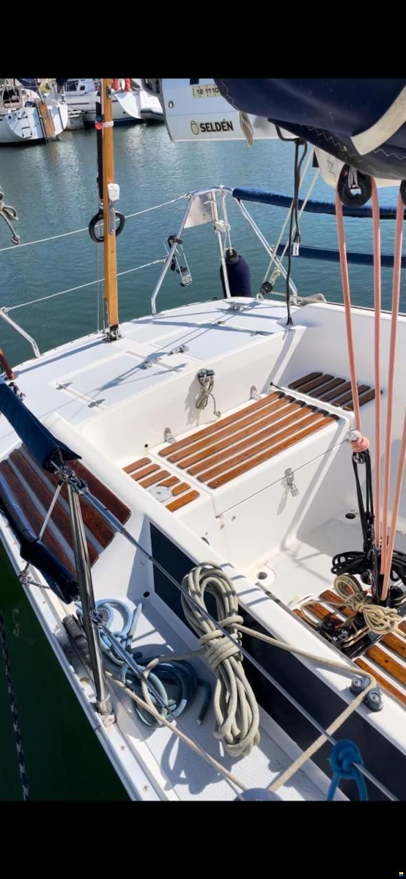 Dynamic 35