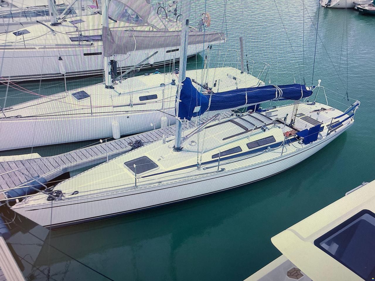 Dynamic 35