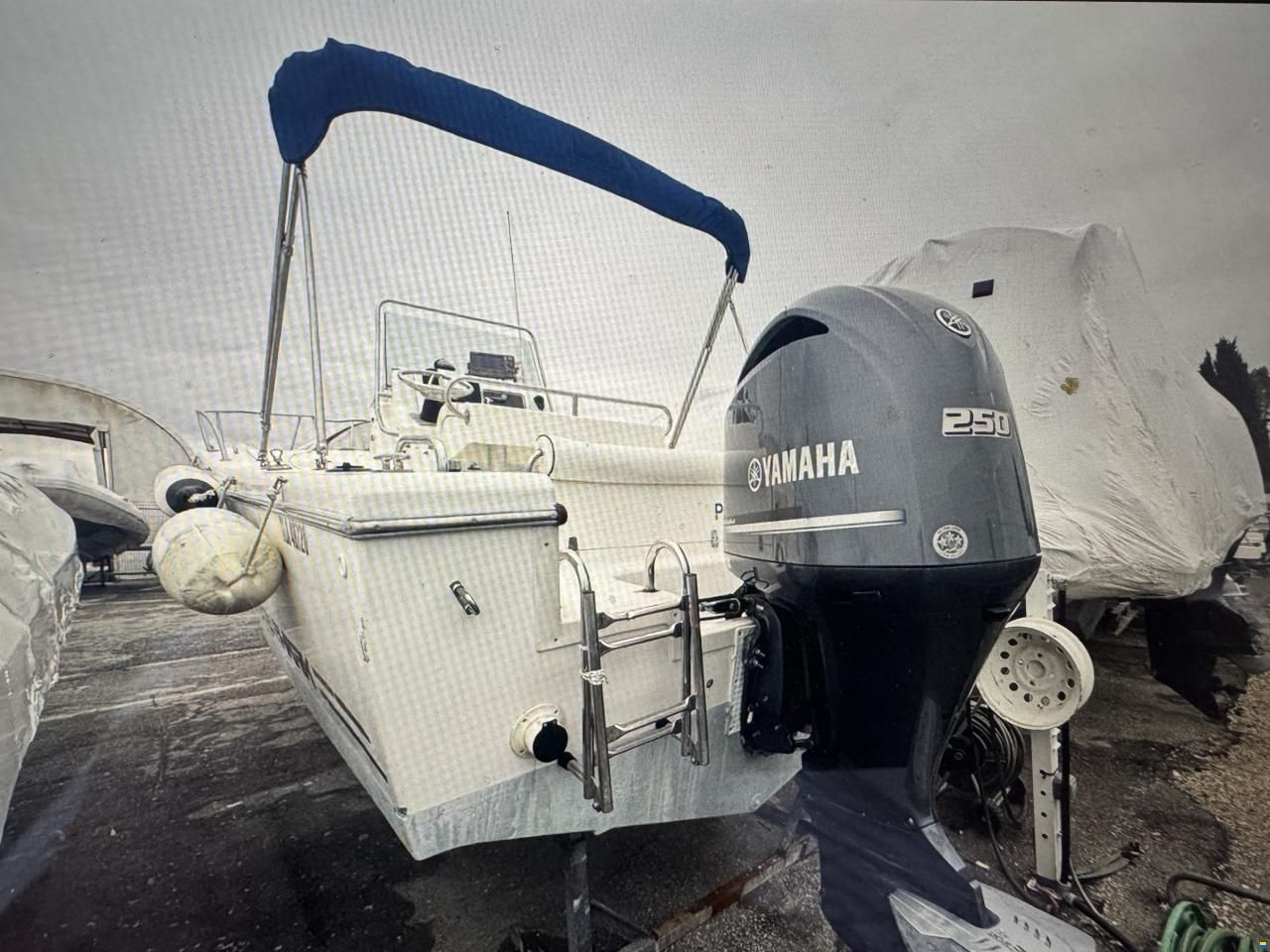 Kelt White Shark 225
