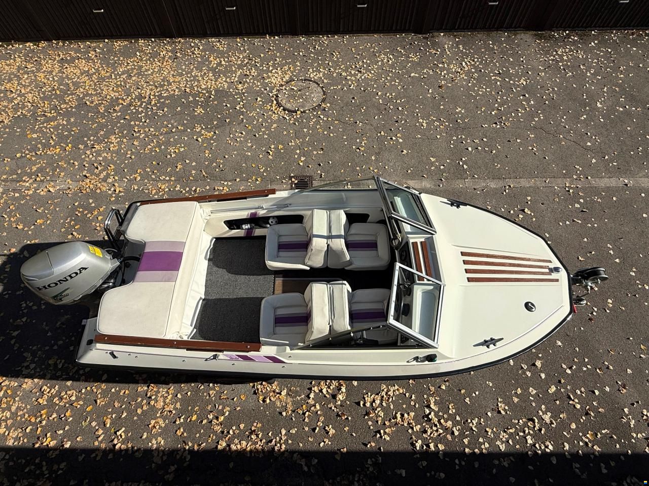 Hammermeister Starlet