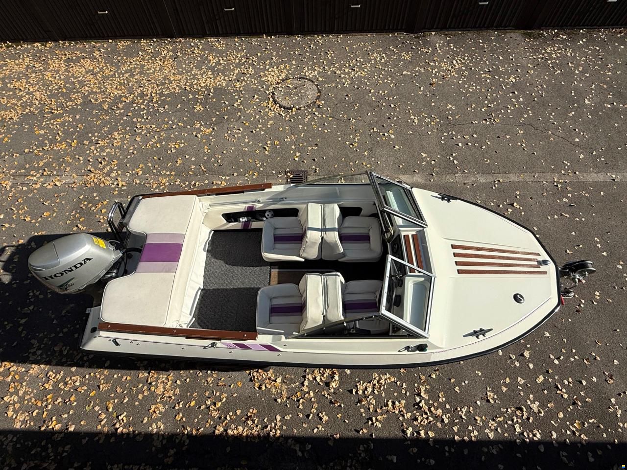 Hammermeister Starlet