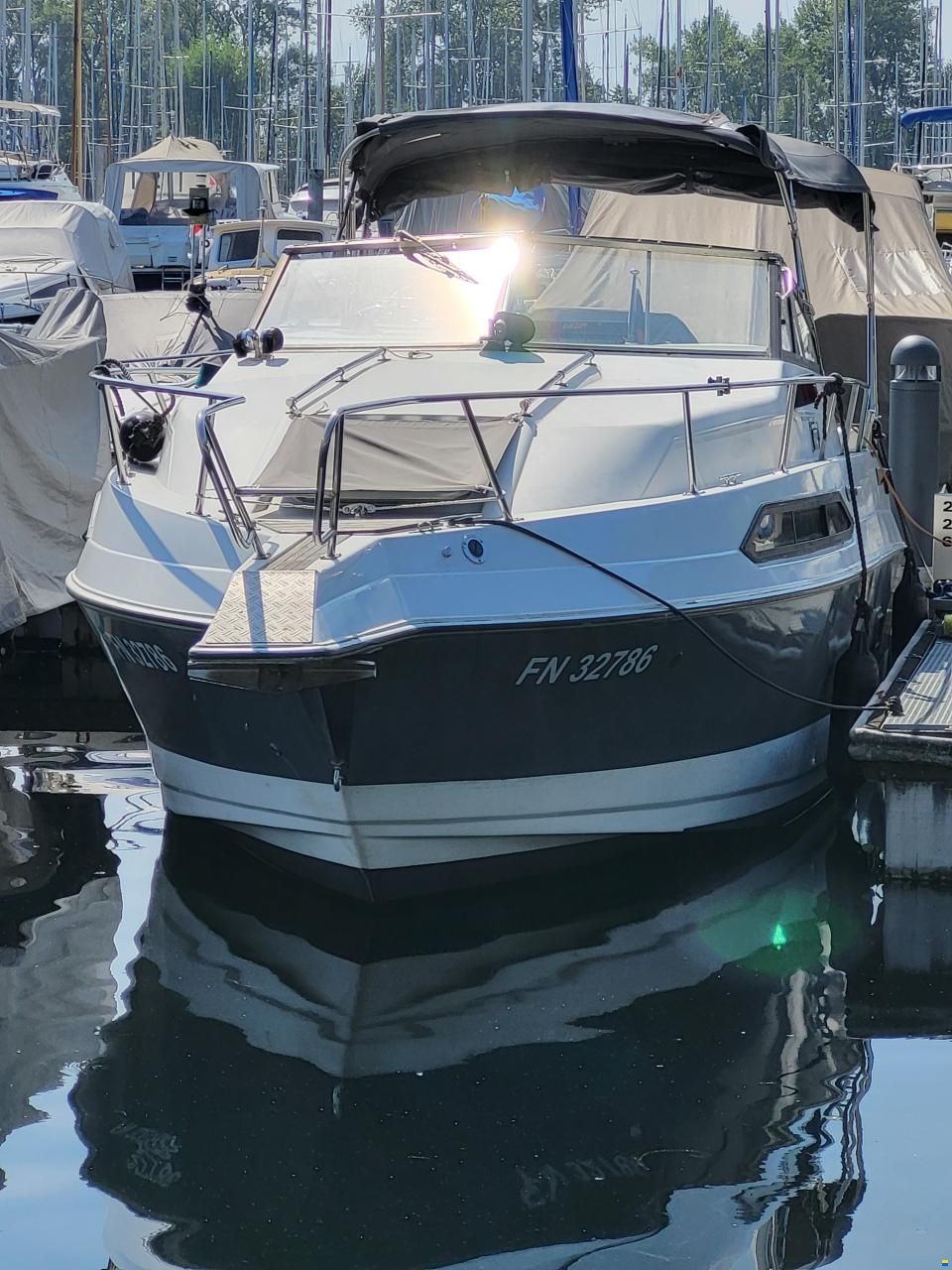Regal 233 XL Ambassador