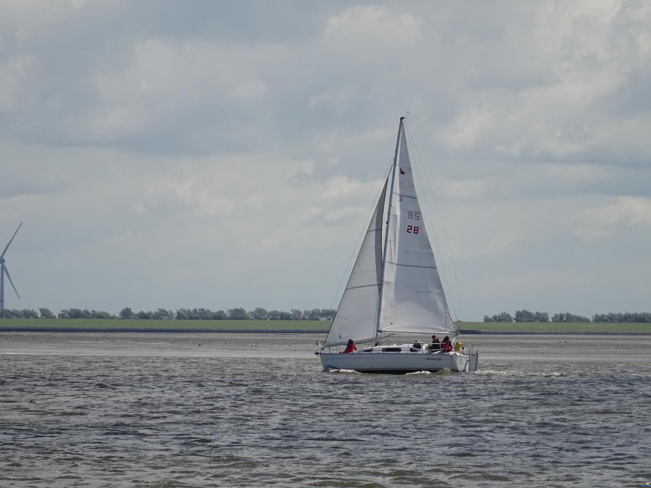 Parker 31