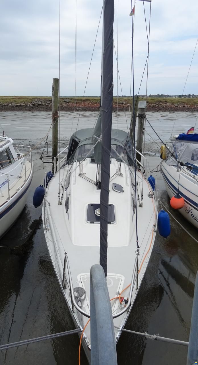 Parker 31