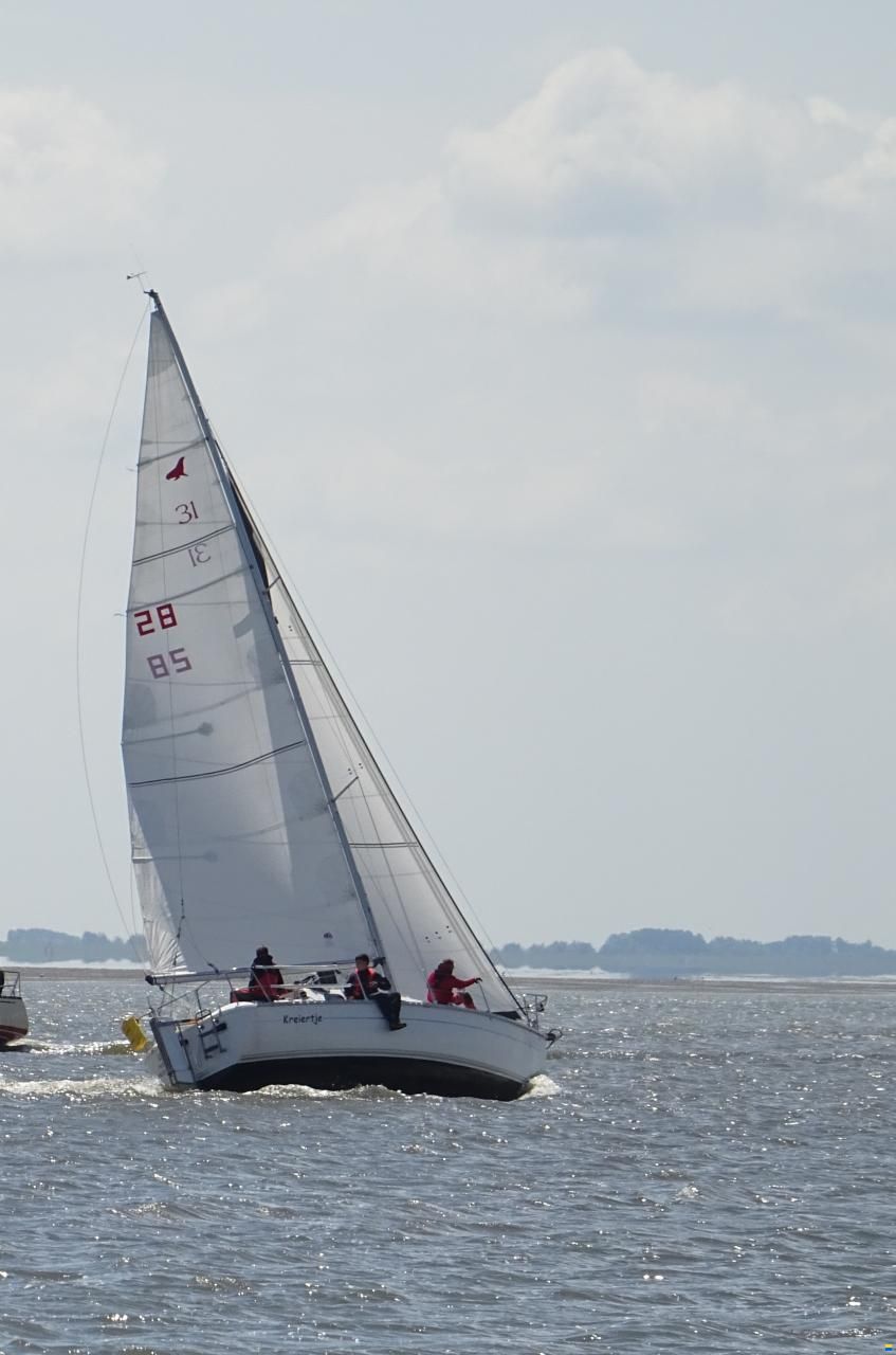 Parker 31