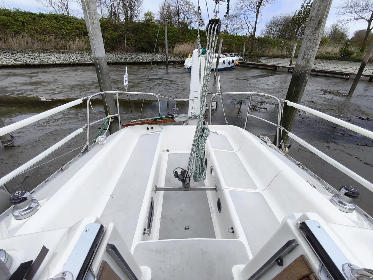 Parker 31