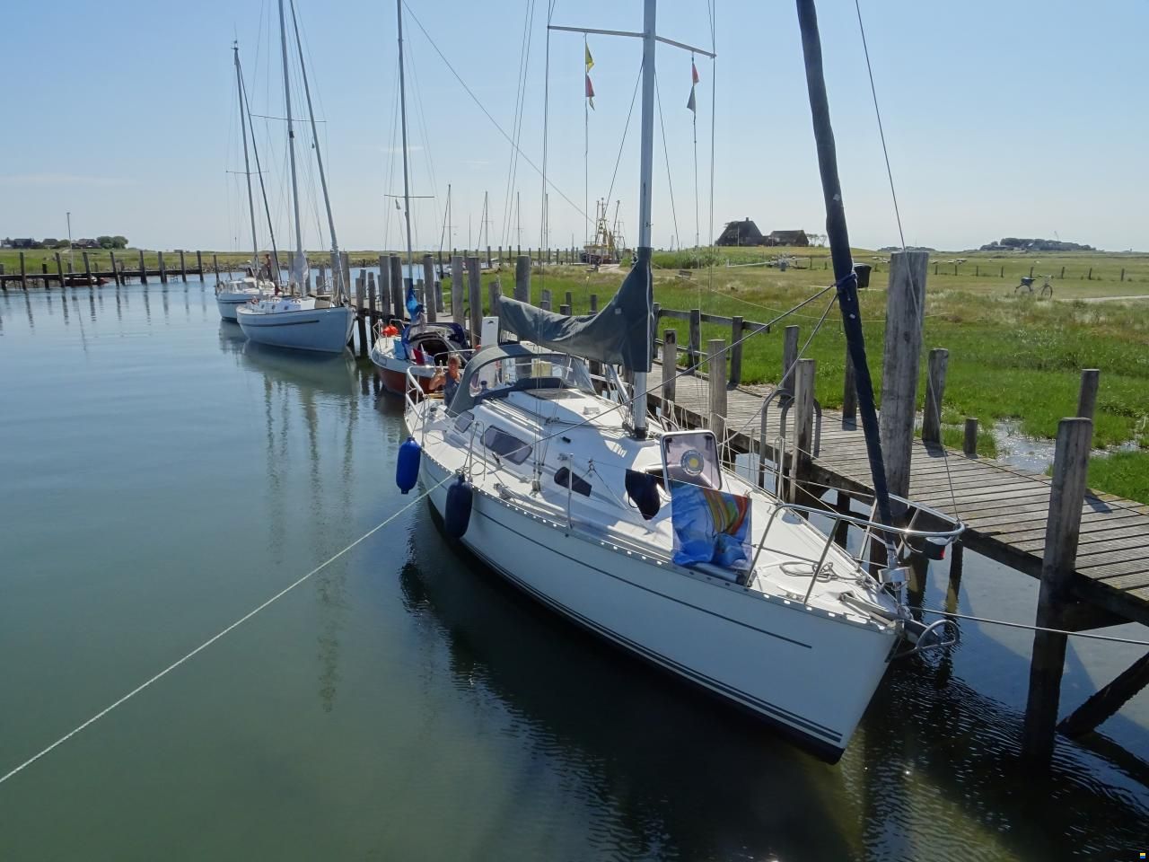 Parker 31
