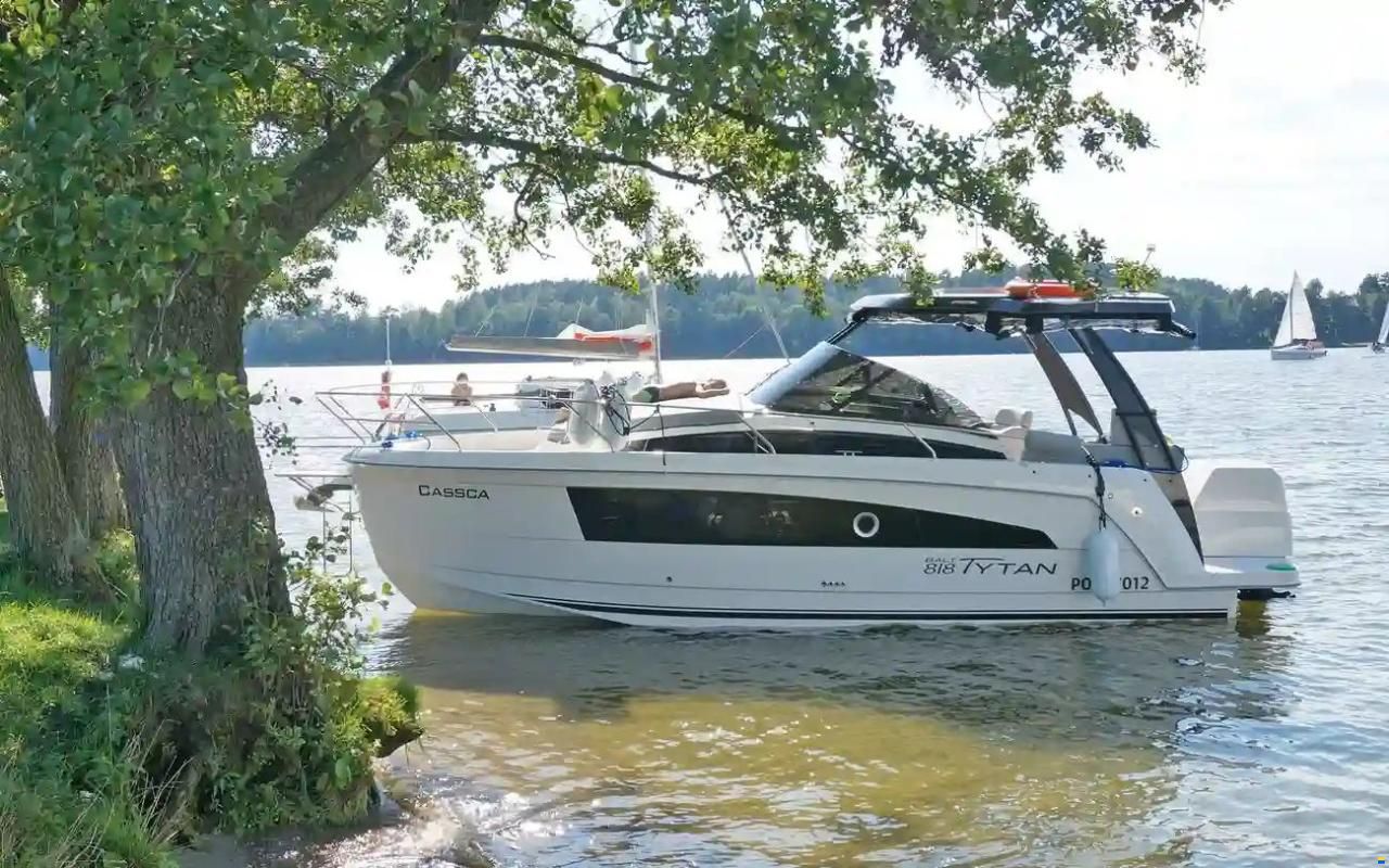 Balt 818 Titanium