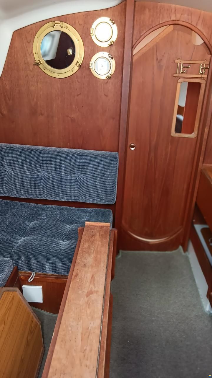 Shipman Albin Accent