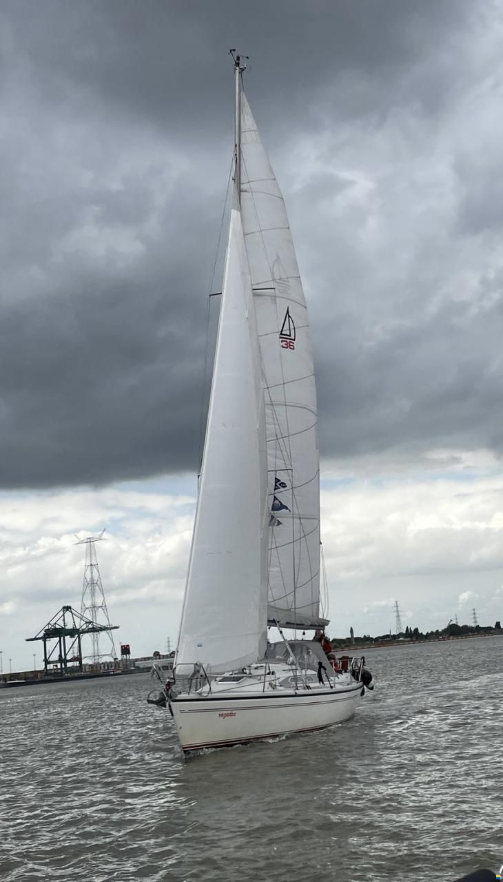 Dehler 36 CWS