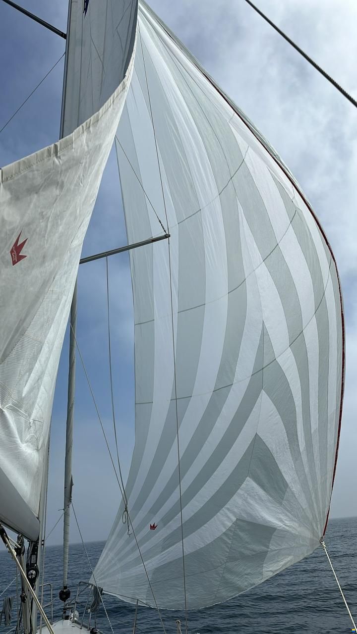 Bavaria Cruiser 37