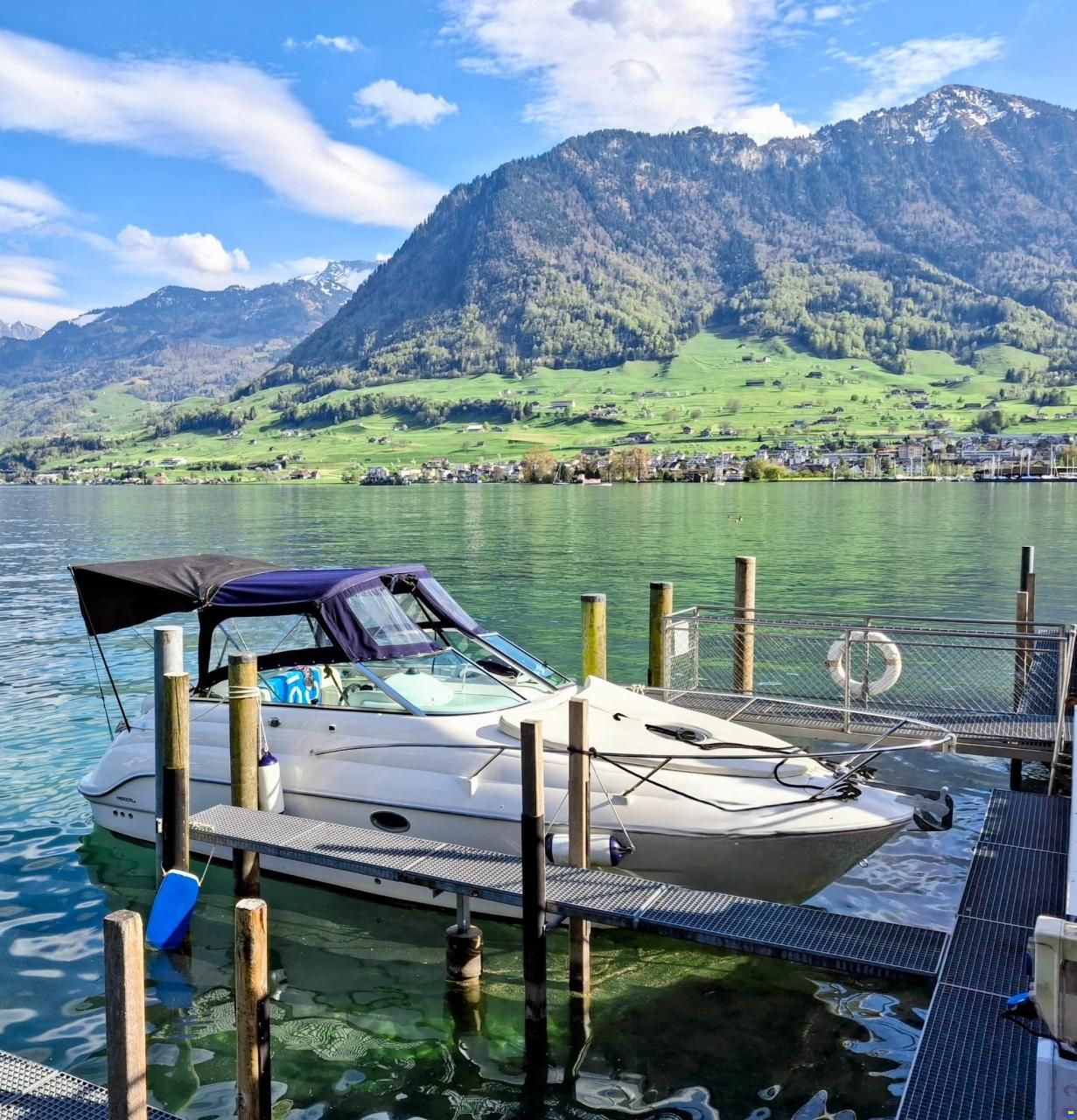 Sessa Oyster 25