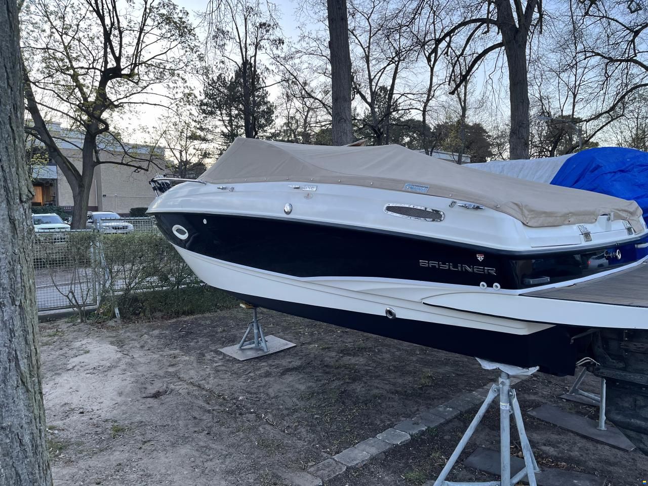 Bayliner Cuddy 642