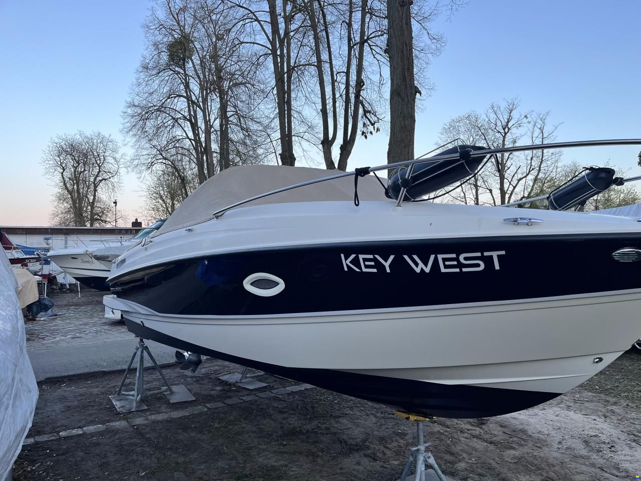 Bayliner Cuddy 642