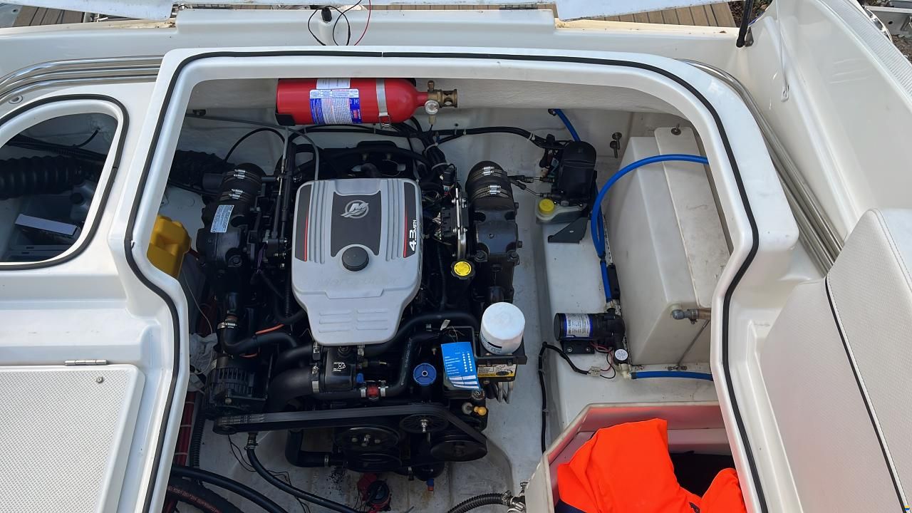 Bayliner Cuddy 642