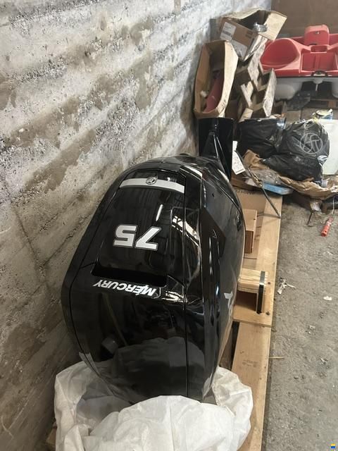 Mercury ME 75 ELPT 4S