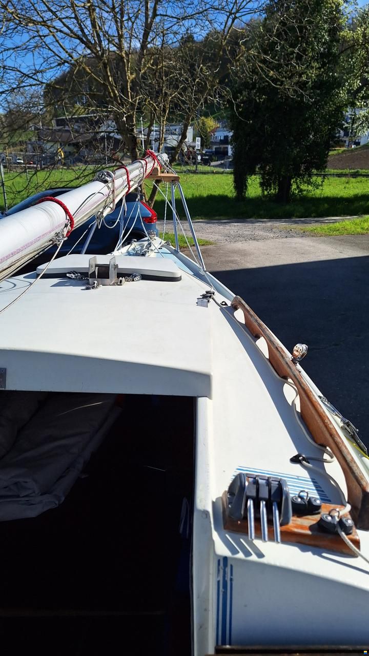 Staempfli Rafale 600